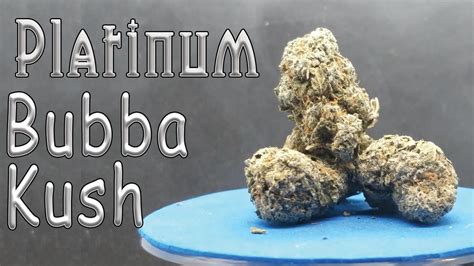 Platinum Bubba Kush Strain Review Youtube