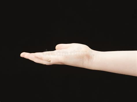 Childs Hand With Palm Facing Up Stock Image Image Of Isolated