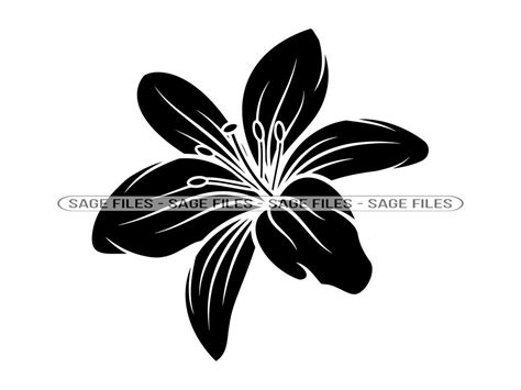 Lily Flower Svg Lily Flower Vector Silhouette Cricut File Etsy My XXX