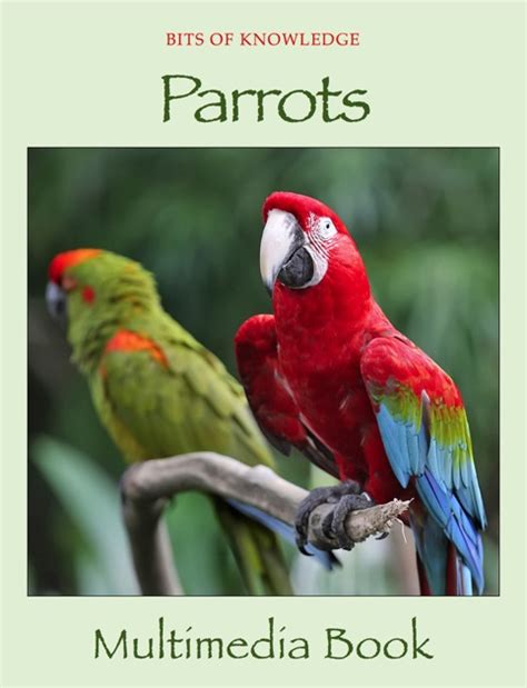 Parrots By Winktolearn And Virtual Gs On Apple Books