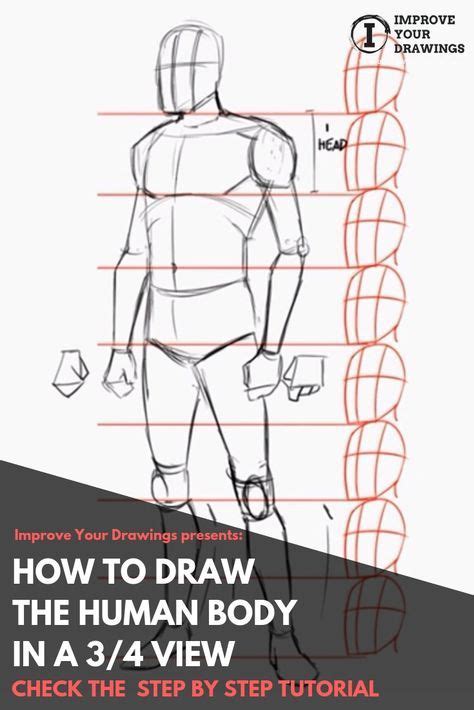 How To Draw The Human Body Step By Step How To Draw A Person Tutorial