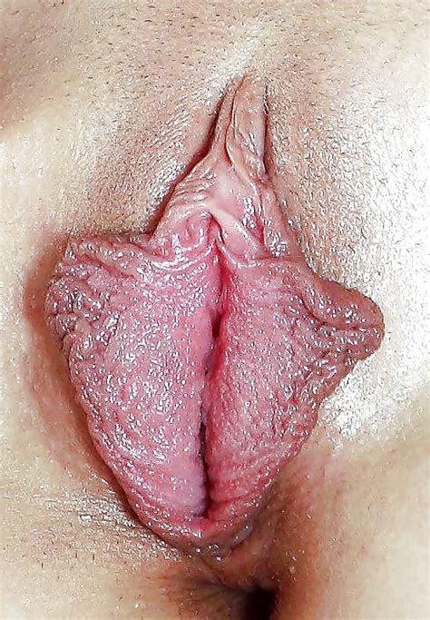 Algunos bonitos labios de coño carnoso Fotos eróticas y porno