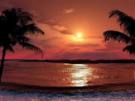 1020654 Sunlight Landscape Forest Sunset Sea Lake Water Nature