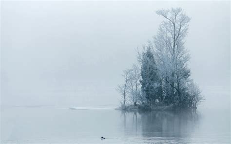 Wallpaper Trees Lake Reflection Snow Branch Ice Morning Mist