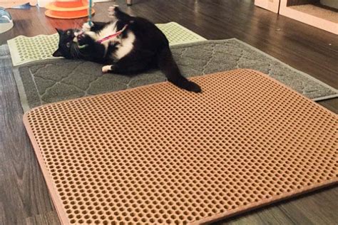 The Best Cat Litter Mat Reviews By Wirecutter