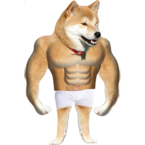 Swole Strong Dog Meme Cardboard Cutout Standee Starting At 4495