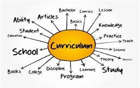 Why Is It Possible That A Different Curriculum Would Be A Better Fit