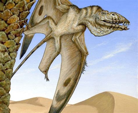Rare Desert Pterosaur Fossil Discovered In Utah Smart News Smithsonian Magazine