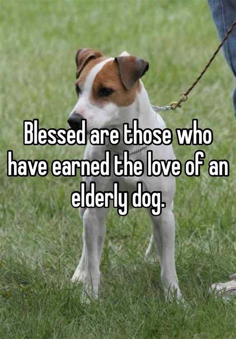 Blessed Are Those Who Have Earned The Love Of An Elderly Dog