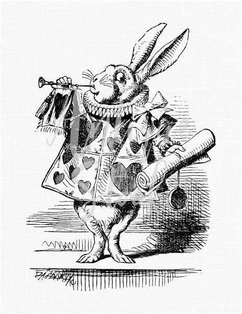 Alice In Wonderland Drawing At Explore Collection