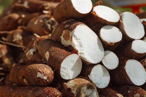Facts You Did Not Know About Cassava