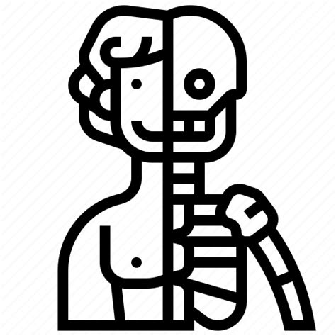 Anatomy Body Human Physiology Skeleton Icon