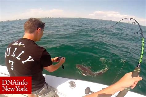 Rockaway Beach Video Baby Great White Shark Caught Off Rockaway