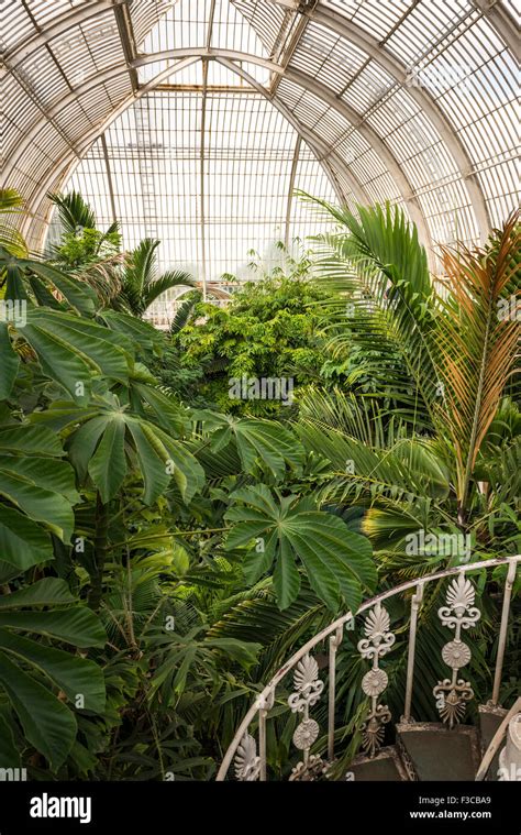 The Interior Of The Palm House At Kew Gardens London Uk Stock Photo