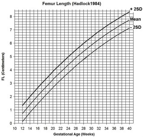 How To Calculate Current Gestational Age Haiper