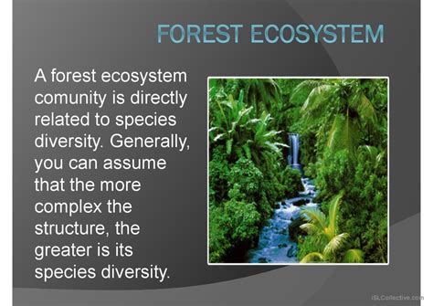 Types Of Ecosystems General Readin English Esl Powerpoints