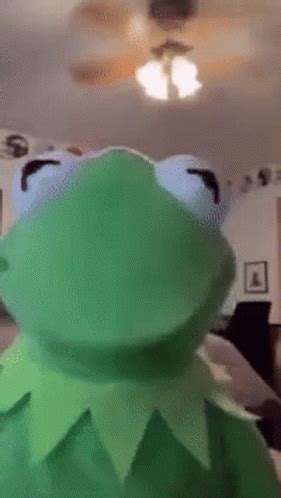 Kermit The Frog Kermit GIF Kermit The Frog Kermit Tiktok GIF を見つけて共有する