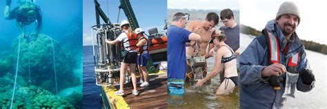 Careers Options In Marine Science Florida Tech