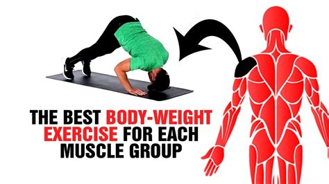 the best body weight exercise for each muscle group calisthenics sixpackactory youtube