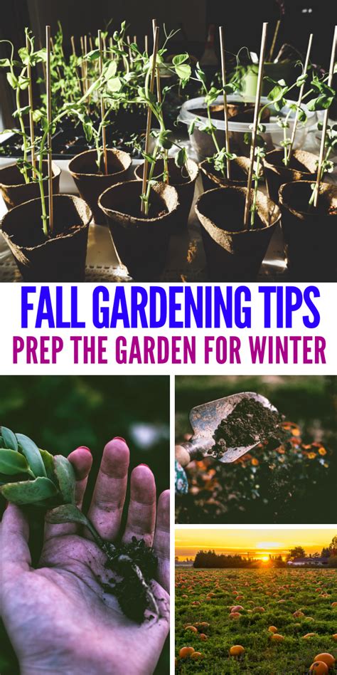 Fall Gardening Tips How To Prepare For Winter