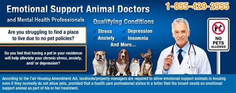 Are esa letters only for therapy dogs? Emotional Support Dogs: What They Are & How to Qualify