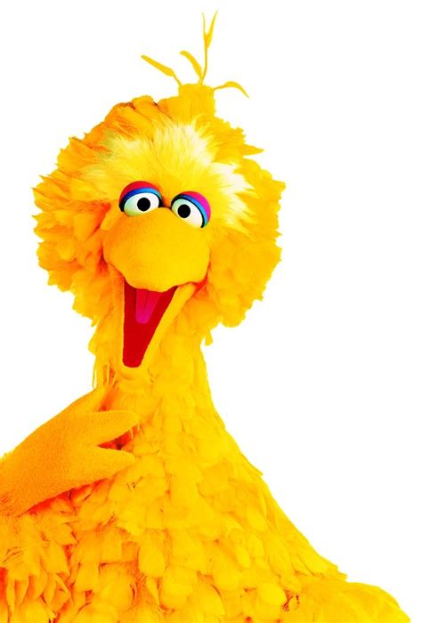Sesame Street Big Bird Face Sesame Street Muppets Big