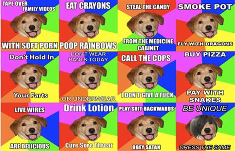 Advice Dog The 100 Greatest Internet Memes Of All Time Complex