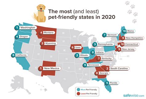 The Most Pet Friendly States In America Safewise