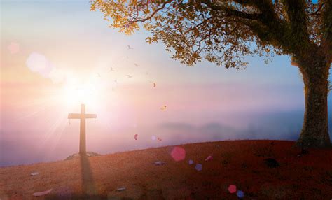 The Cross At Autumn Background Stock Photo Download Image Now Istock