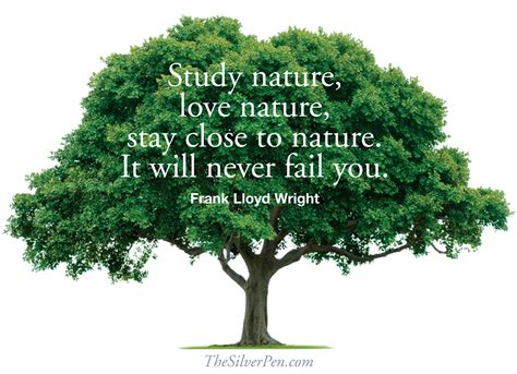 Quotes About Importance Of Nature Quotesgram