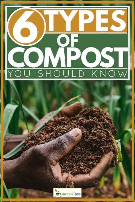 6 Types Of Compost You Should Know