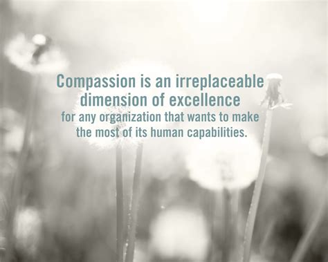 Awakening Compassion At Work Quote | Work quotes, Compassion quotes