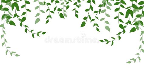 Green Leaves Isolated On White Background Illustration Design Stock