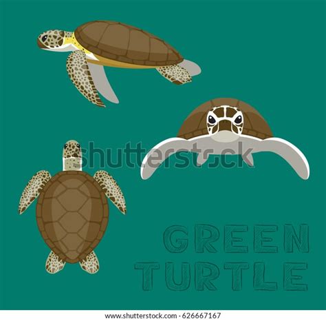 Sea Green Turtle Loggerhead Cartoon Vector Stock Vector Royalty Free