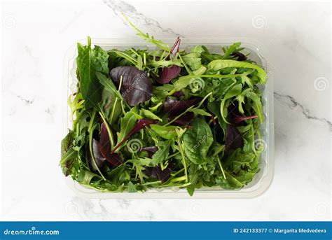 Fresh Green Salad With Spinacharugularomaine And Lettuce Stock Image