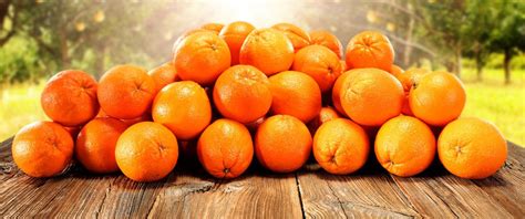 Orange Fiber I Nostri Vestiti Dalle Arance Arancione Arancia Agrumi