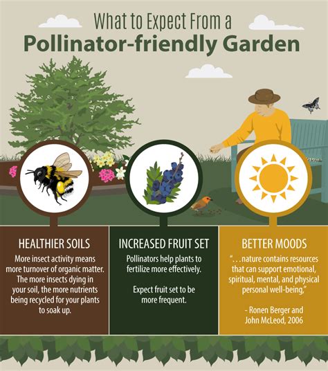 Creating A Pollinator Friendly Garden Pollinator Plants Pollinator Garden Pollination