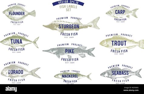 Seafood Fish Names
