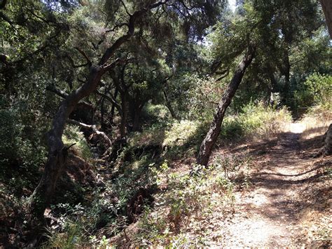 2 Hiking Chicks Aliso Creekwood Canyon Trails