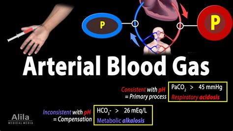 Arterial Blood Gas Abg Test Animation Youtube