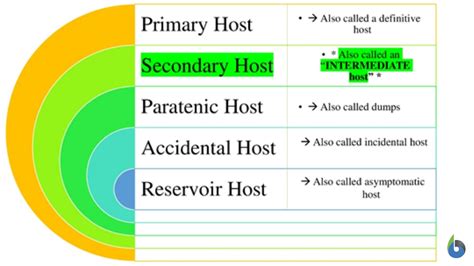 Intermediate Host Definition And Examples Biology Online Dictionary