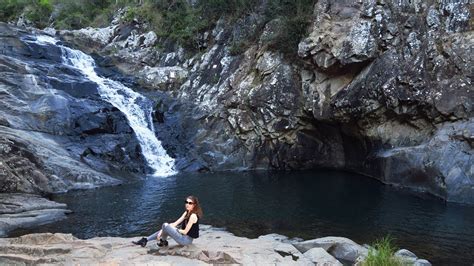 Discovering Mt Tamborine Rainforest Waterfalls Skywalk Gold Coast