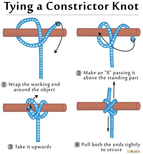 How To Tie A Constrictor Knot Survival Knots Tie Knots Knots Guide