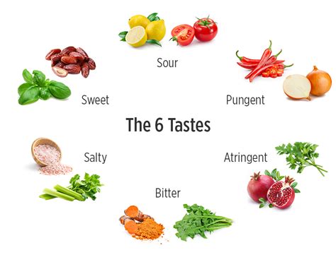 What Are The 6 Types Of Taste 2022 Qaqookingwiki