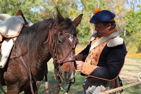 Horse Cavalry War Free Photo On Pixabay