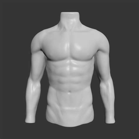 Plastic Standing Male Torso Mannequin Size 3 Feet Height Id