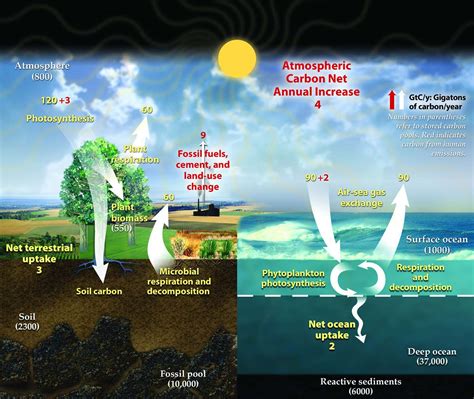 Greenhouse gases include water vapour, carbon dioxide, methane, nitrous oxide, ozone and artificial chemicals like chlorofluorocarbons (cfcs). Greenhouse Gases