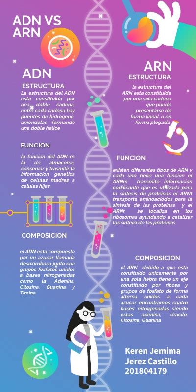 DIFERENCIAS ENTRE ADN Y ARN