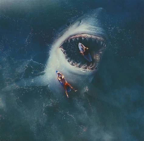 Pin By Karen Funes On Vida En El Océano Shark Pictures Sharks Scary