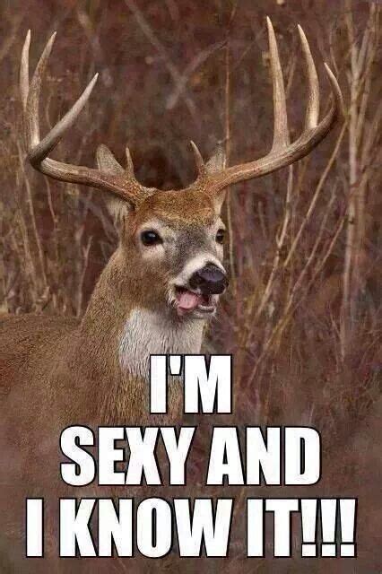 37 Best Funny Deer Hunting Meme Images On Pinterest Deer